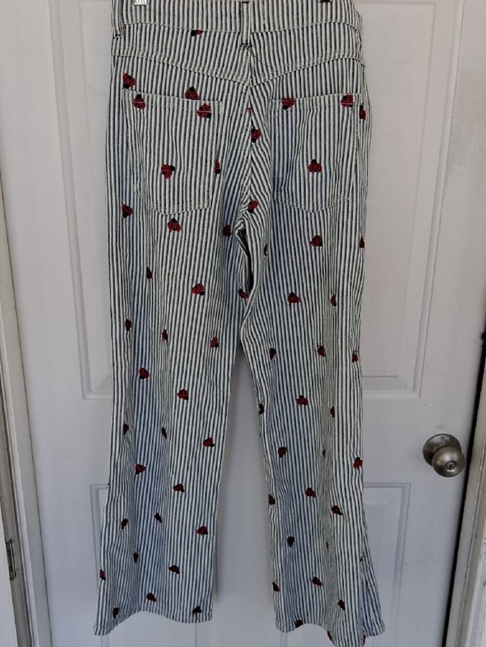 We The Free Blue & White Striped Wide-Leg Jeans with Red Ladybug Embroidery - Picture 5 of 7